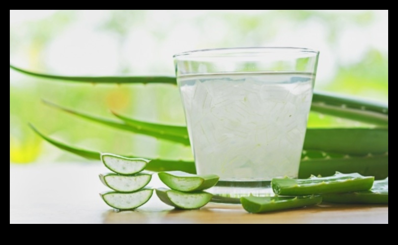 Reîmprospătați-vă și întineriți-vă dimineața cu un pahar de suc proaspăt de aloe vera 2 Refresh de dimineață: infuzarea cu Aloe Vera proaspătă face plăcere în ziua ta