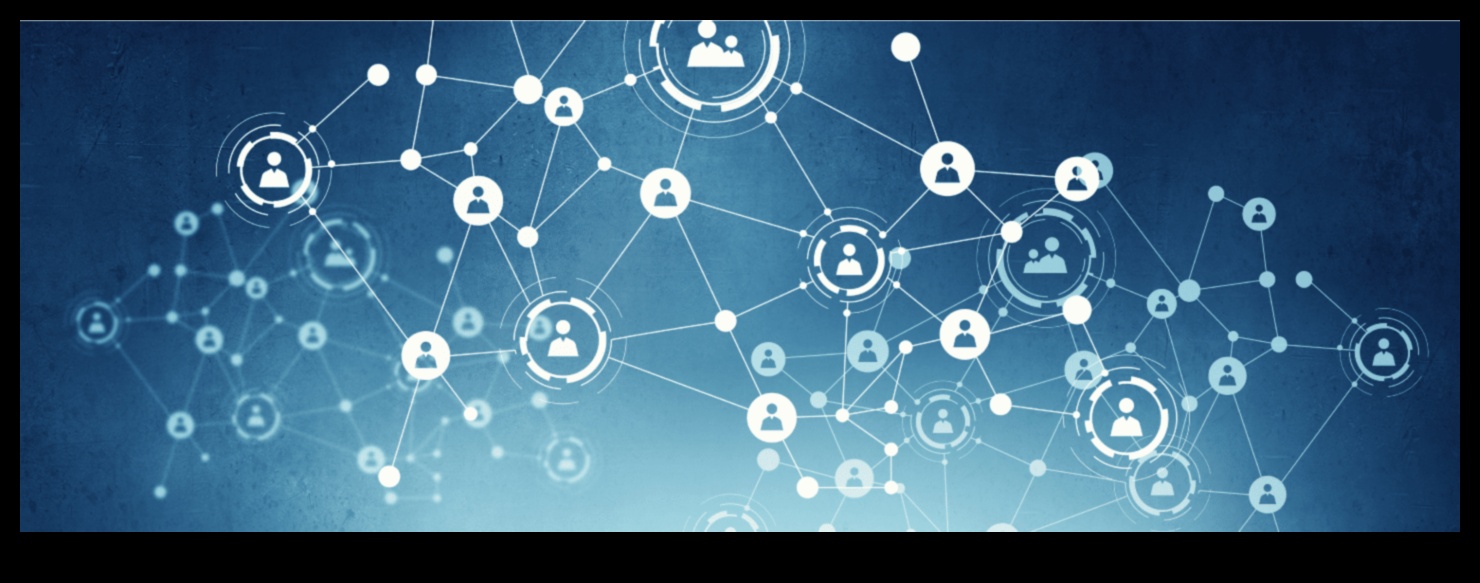 Aurele analitice Cheia pentru a debloca stăpânirea rețelelor sociale 2 Aurele analitice: iluminarea căii către stăpânirea rețelelor sociale