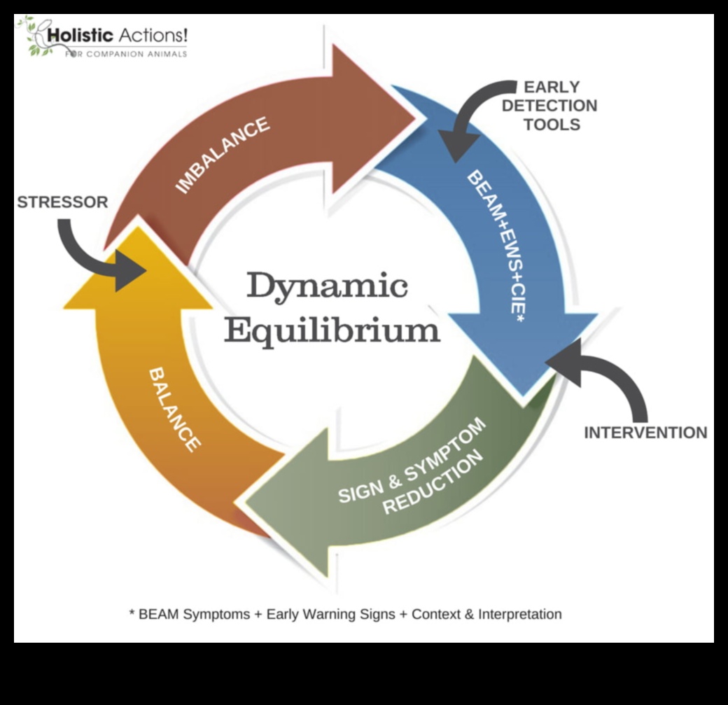 Echilibru dinamic: Crește-ți forma fizică cu antrenamente de stabilitate