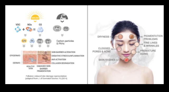Cum poluarea vă dăunează pielii (și cum să o protejați) 2 Impactul poluării asupra pielii dvs.: protecție împotriva factorilor de stres de mediu