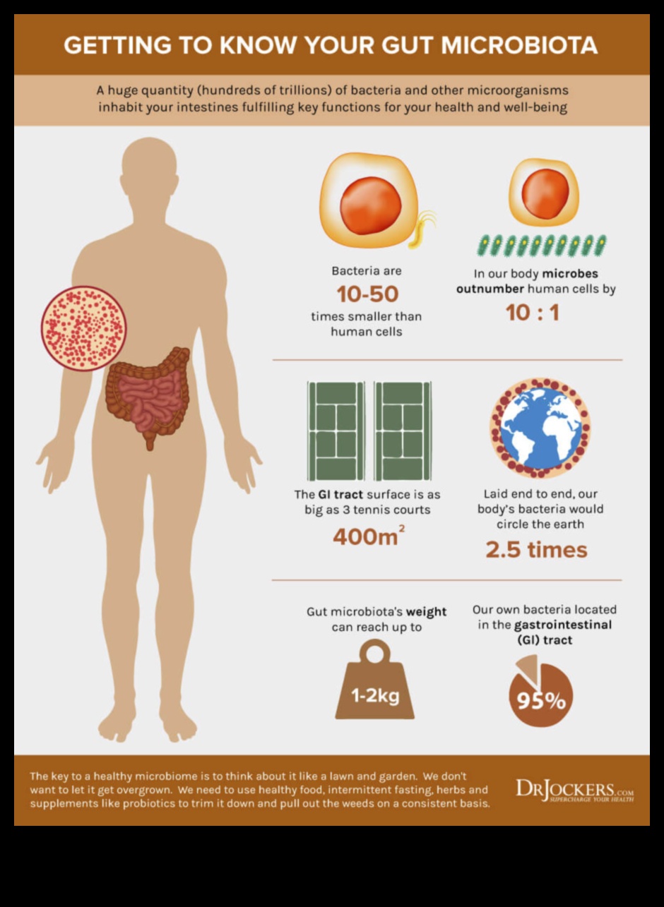 Keto și microbiomul intestinal: o interacțiune dinamică