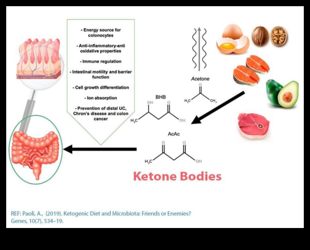 Keto și microbiomul intestinal: o interacțiune dinamică