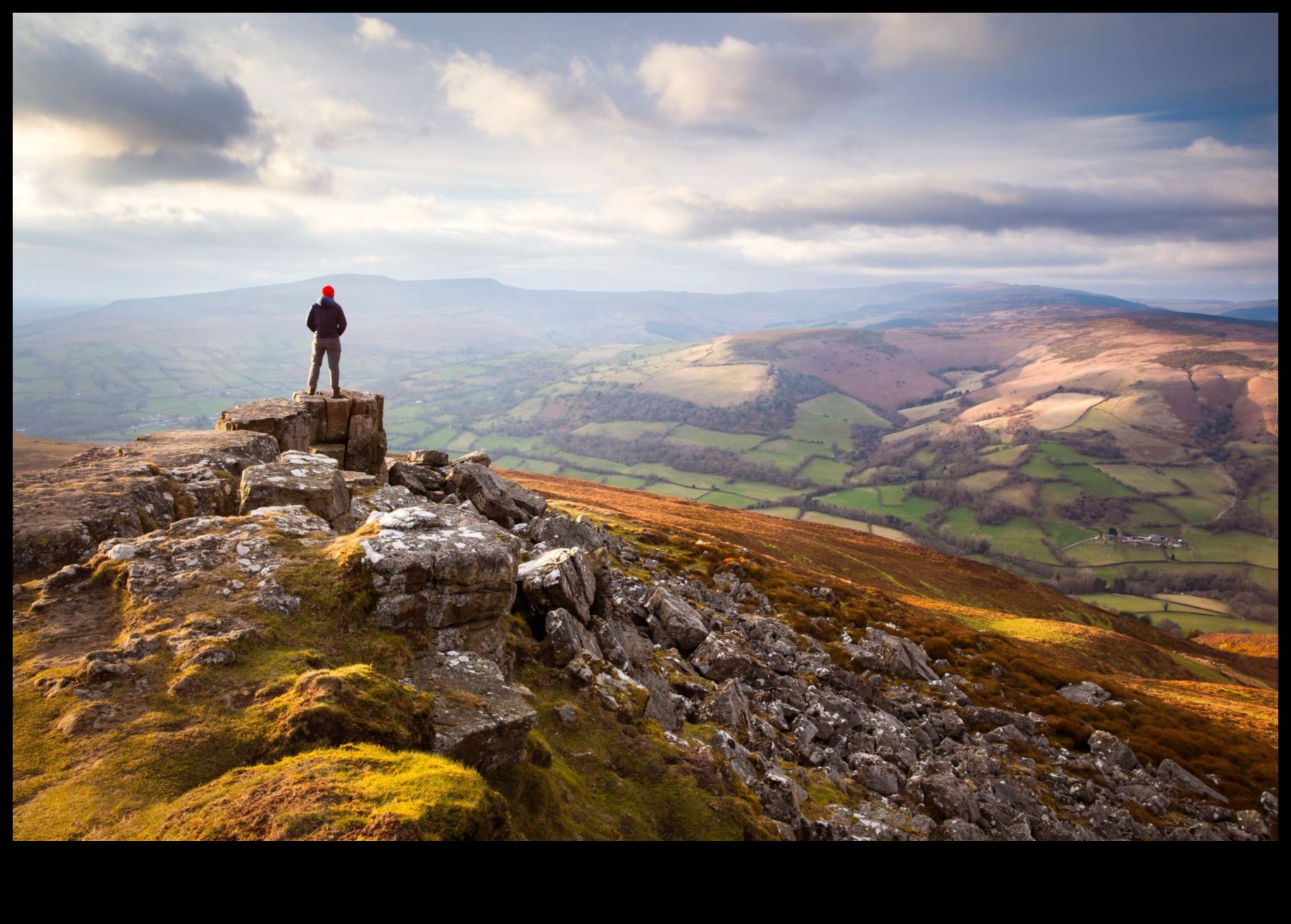 Aventurile pe Twitter: navigarea în sălbăticia conținutului scurt