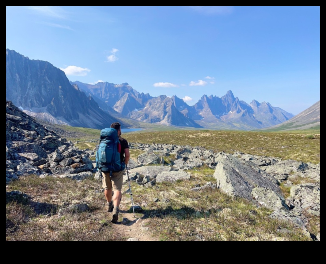 Aventurile pe Twitter: navigarea în sălbăticia conținutului scurt