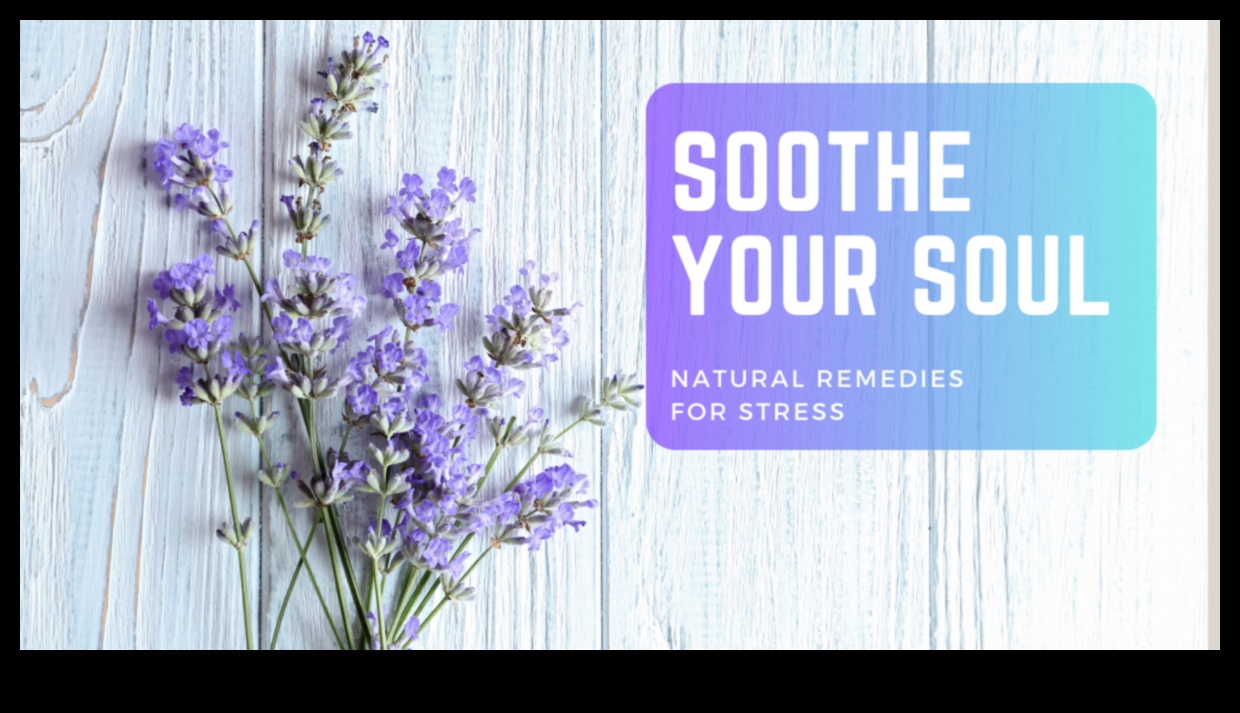 5 moduri liniștitoare de a-ți calma sufletul și de a trăi fără stres 1 Calmează-ți sufletul: tehnici de relaxare pentru o viață fără stres