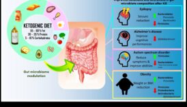 Keto și microbiomul intestinal: o interacțiune dinamică
