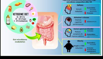 Keto și microbiomul intestinal: o interacțiune dinamică
