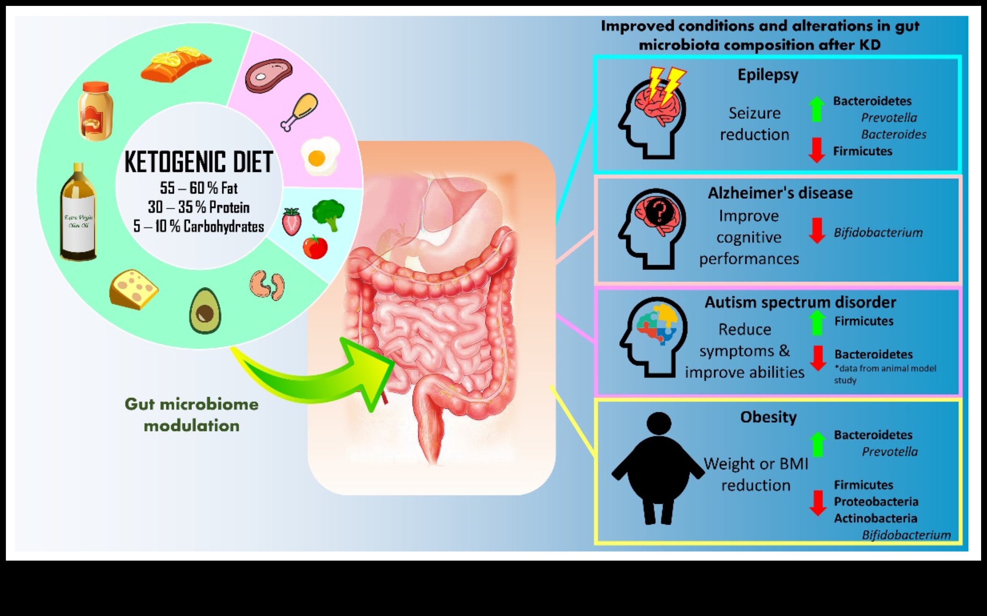 Keto și microbiomul intestinal: o interacțiune dinamică