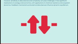 Echilibru dinamic: Crește-ți forma fizică cu antrenamente de stabilitate