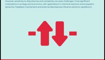 Echilibru dinamic: Crește-ți forma fizică cu antrenamente de stabilitate