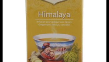 Ginger Harmony: Explorând notele încântătoare ale infuziilor sănătoase