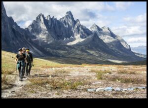 Aventurile pe Twitter: navigarea în sălbăticia conținutului scurt