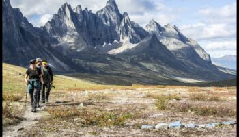 Aventurile pe Twitter: navigarea în sălbăticia conținutului scurt